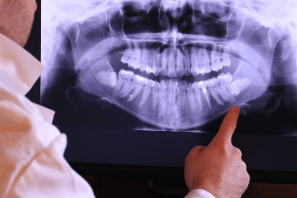 Best Emergency X-Rays and Diagnostics in Seatac, WA